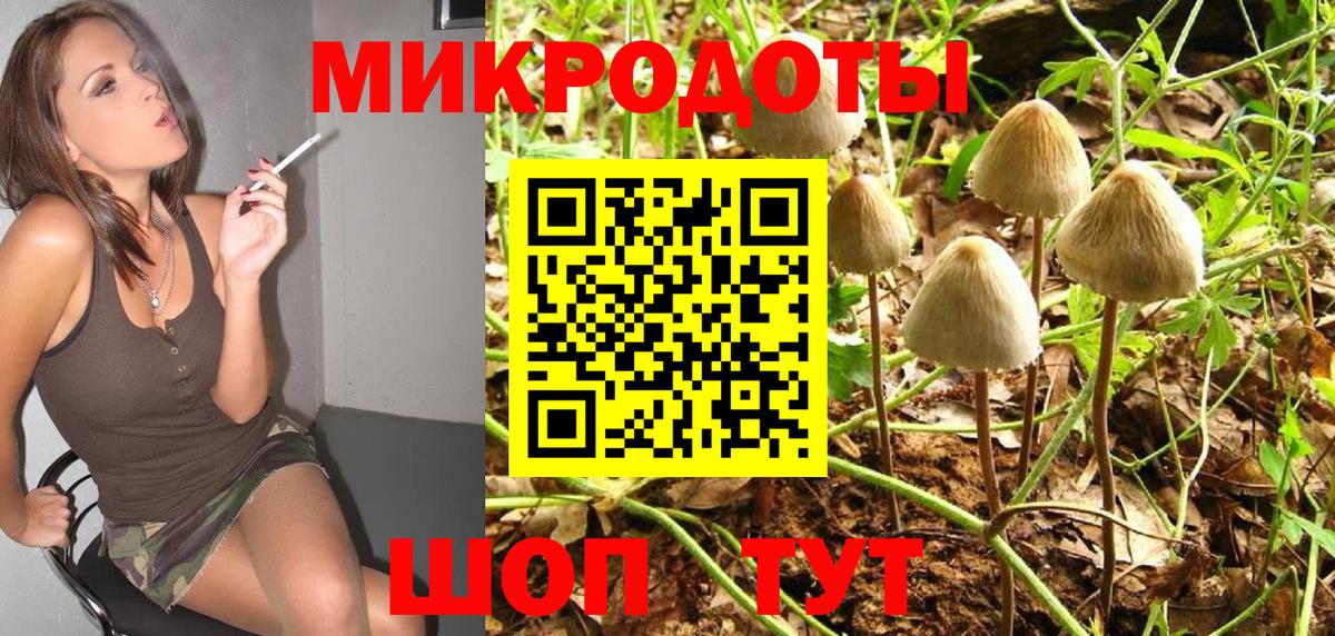 Псилоцибиновые грибы мицелий Усть-Кут